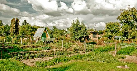 The fate of collective gardening